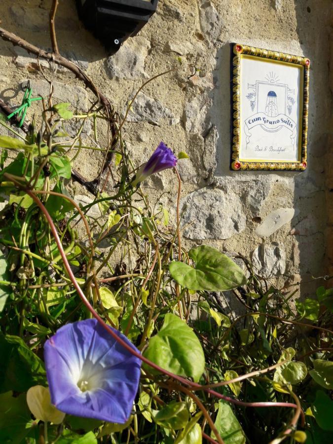 Castello delle Forme B&B Cum Grano Salis المظهر الخارجي الصورة